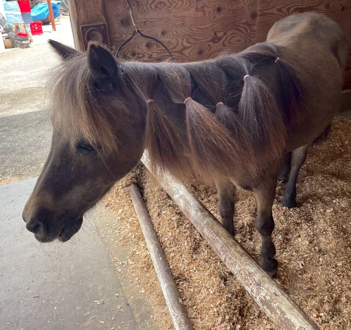 ギャラリー写真