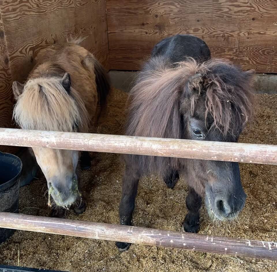 ギャラリー写真