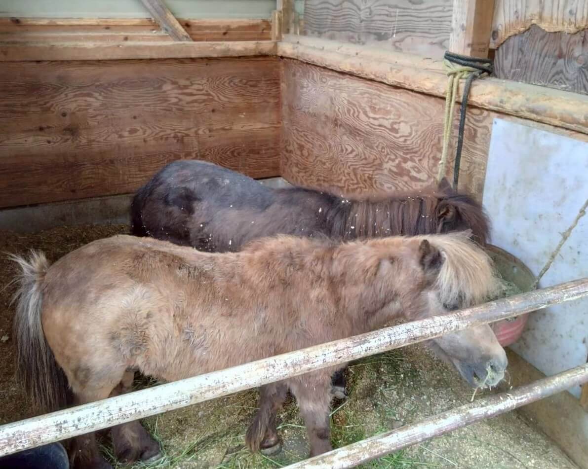 ギャラリー写真