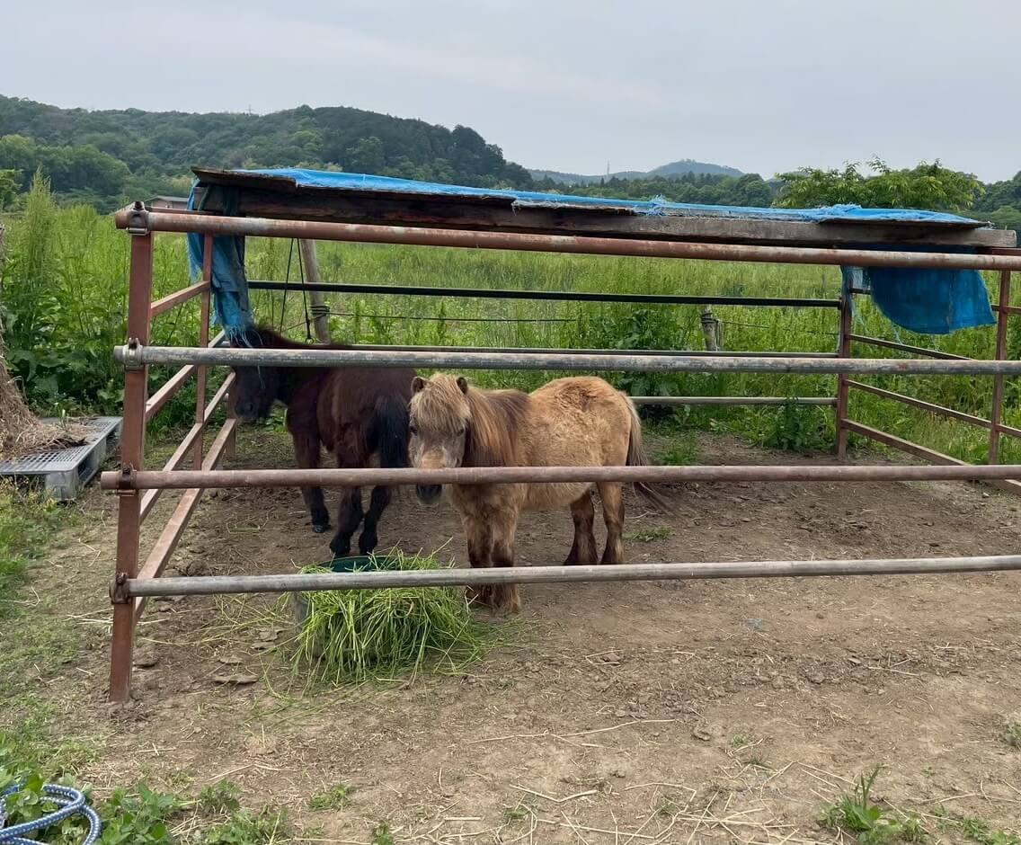 ギャラリー写真