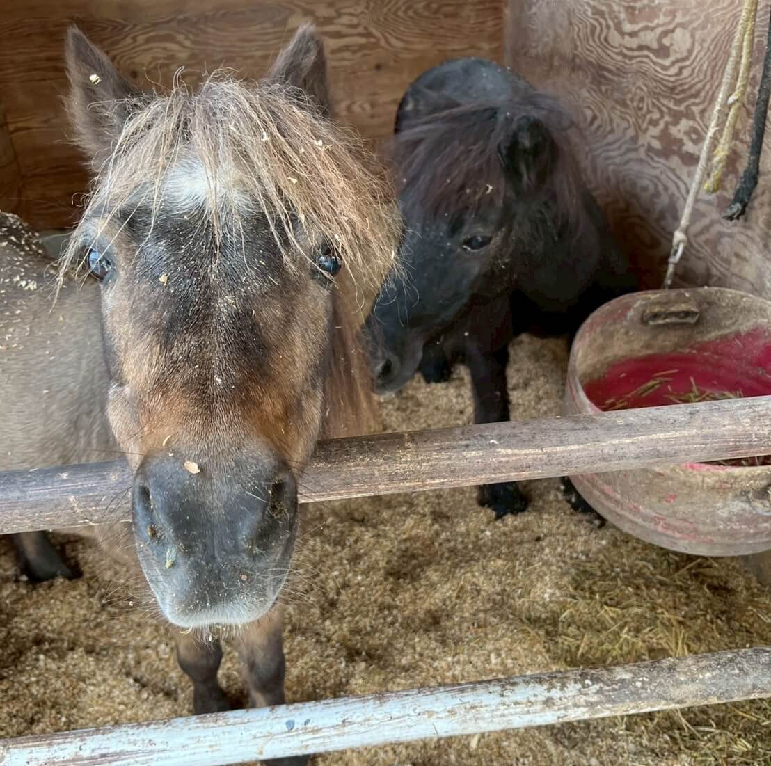 ギャラリー写真