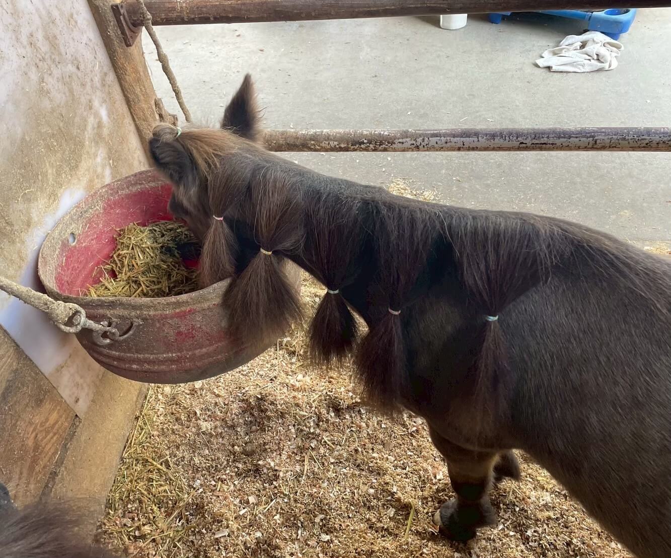 ギャラリー写真