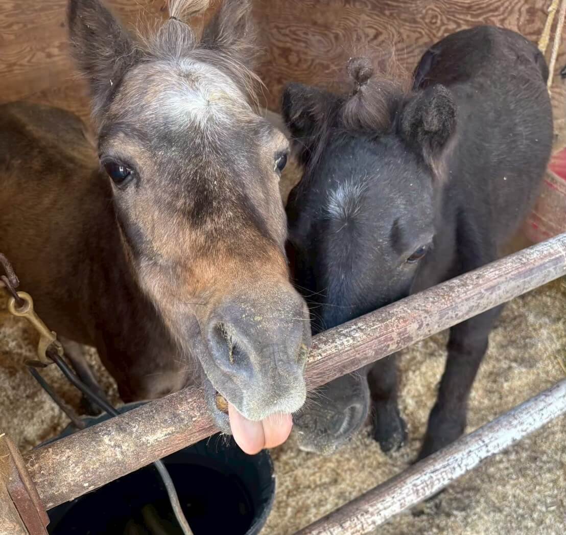 ギャラリー写真